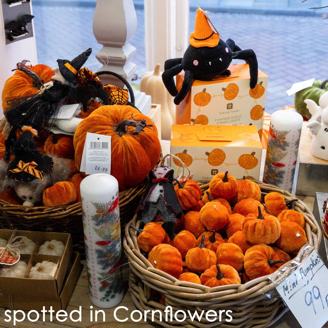 Shop display of velvet pumpkins, plush spiders and boxed Halloween decor
